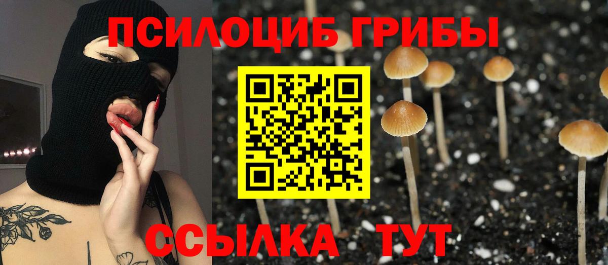 Галлюциногенные грибы MAGIC MUSHROOMS Надым